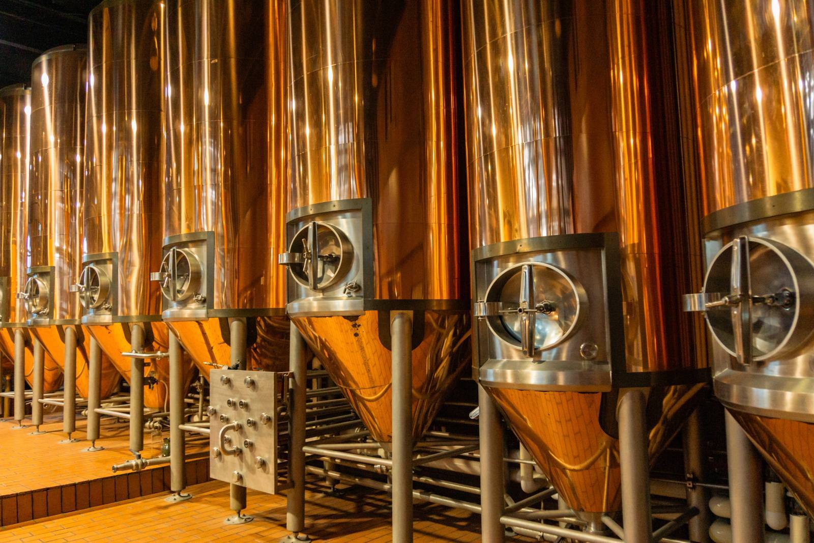 New Belgium Brewing