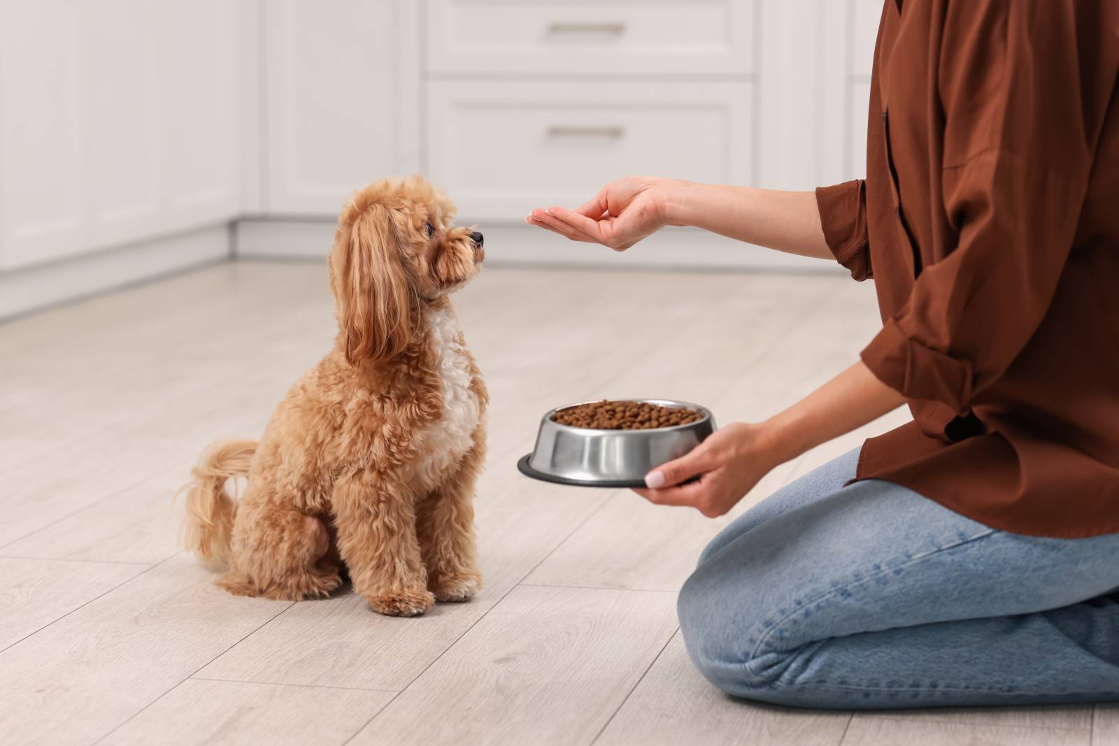 Mars Pet Care